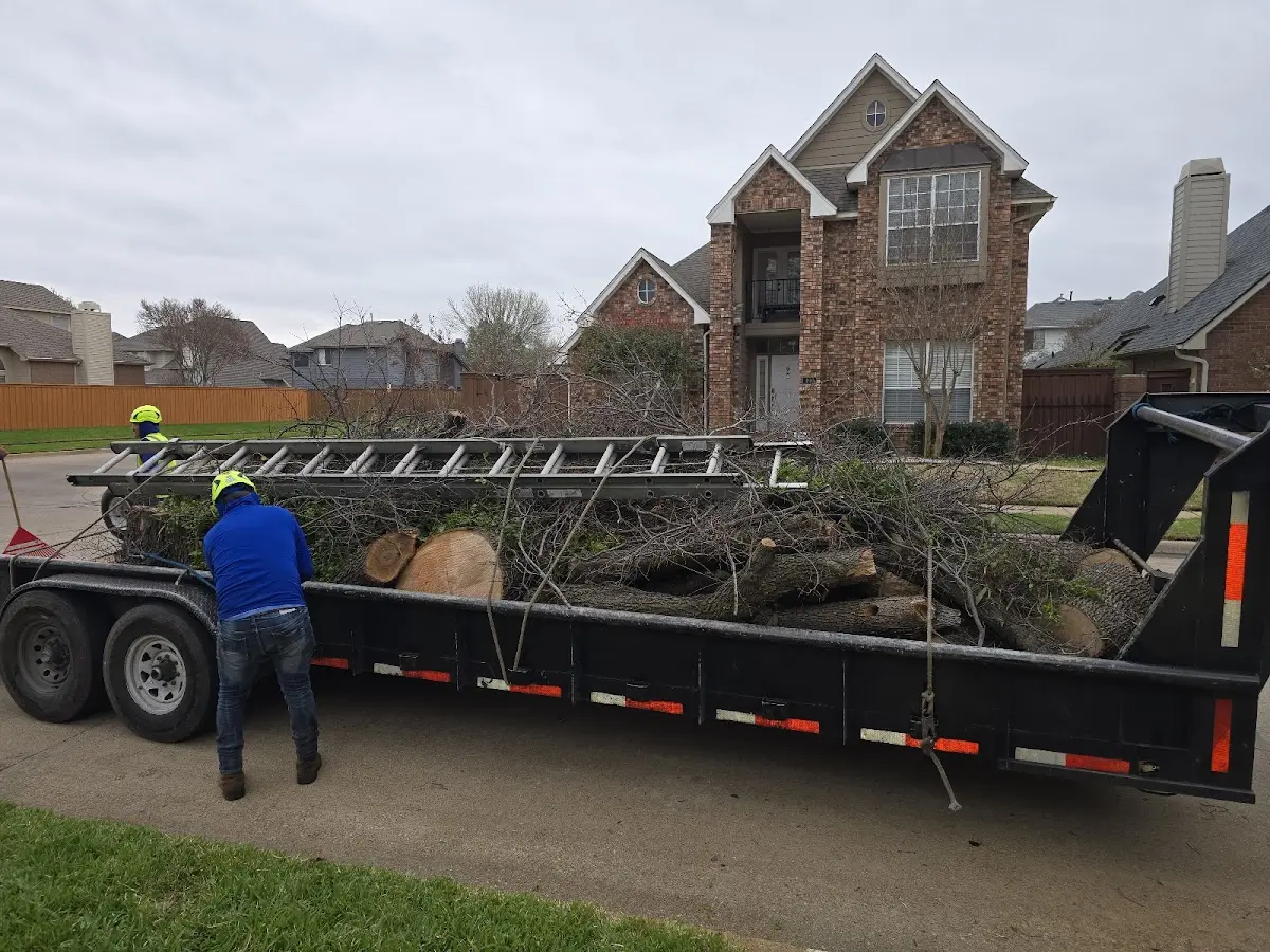 Expert Lot Clearing with proper safety equipment in Midland